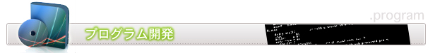 プログラム開発